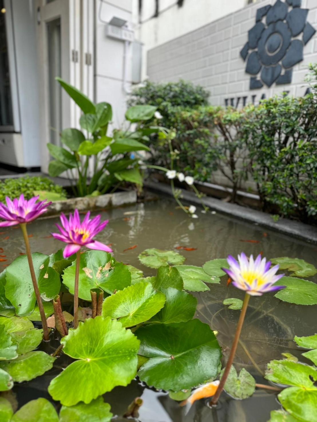 Wua Lai Boutique Hotel Chiang Mai Ngoại thất bức ảnh